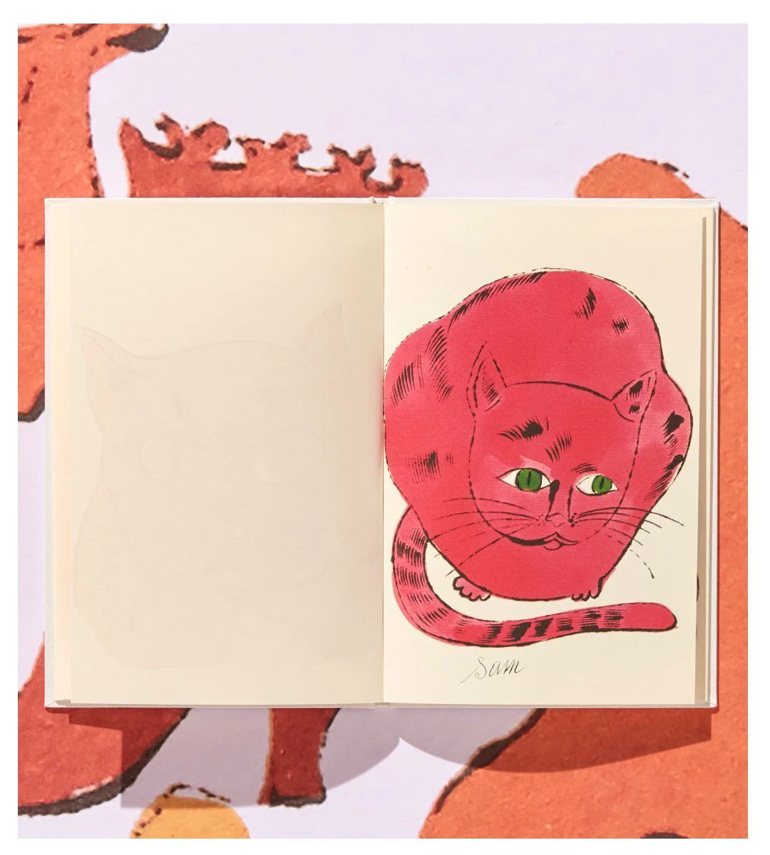 Image du produit 5