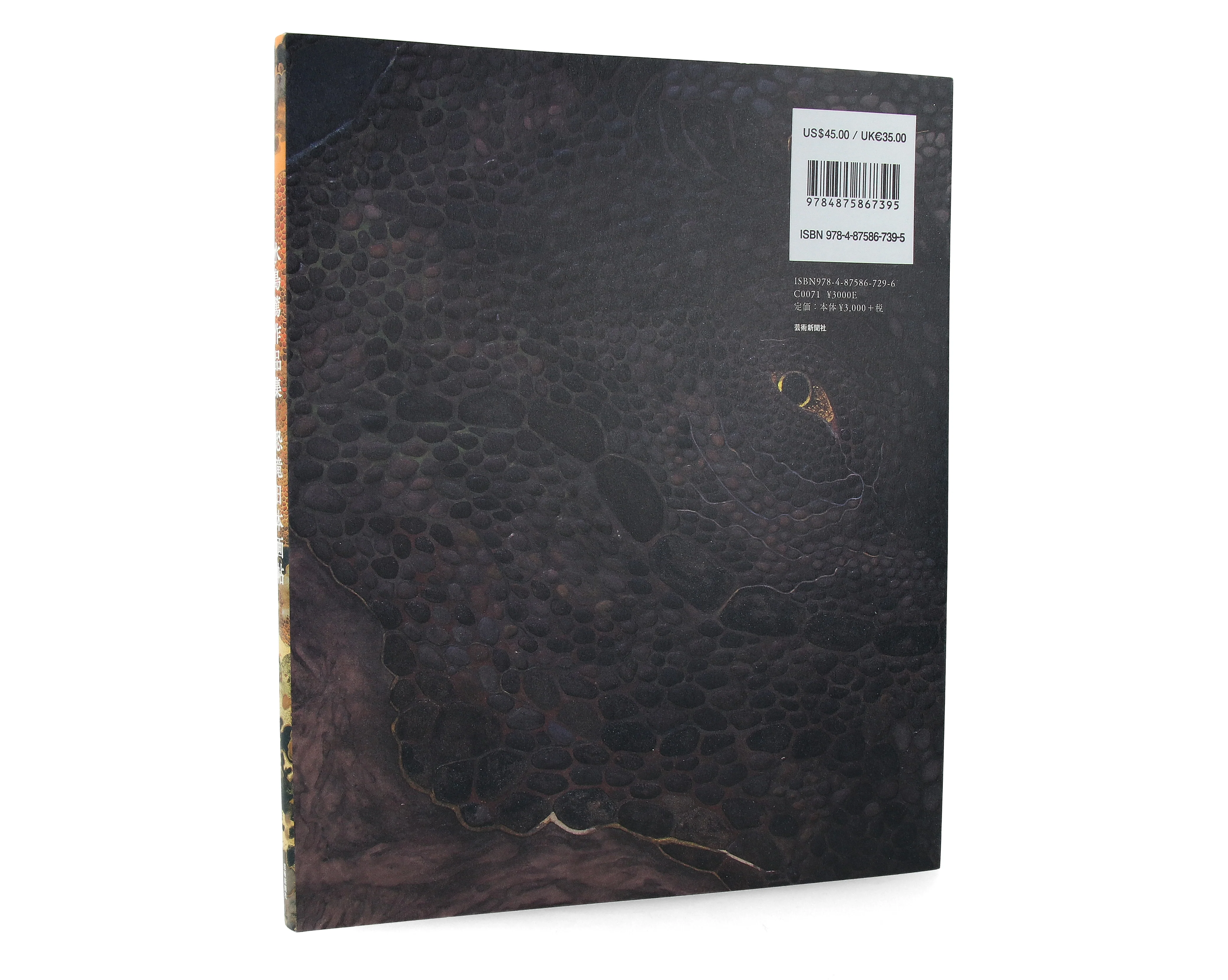 Image du produit 6